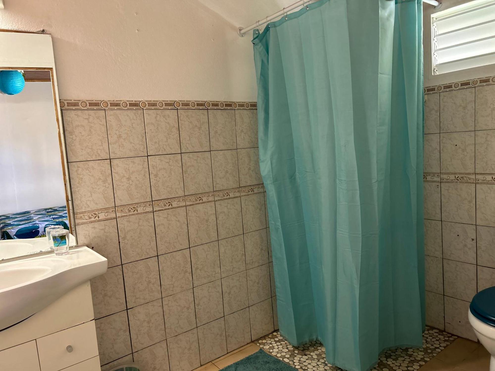 Villa A Louer A Sainte-Anne En Martinique المظهر الخارجي الصورة