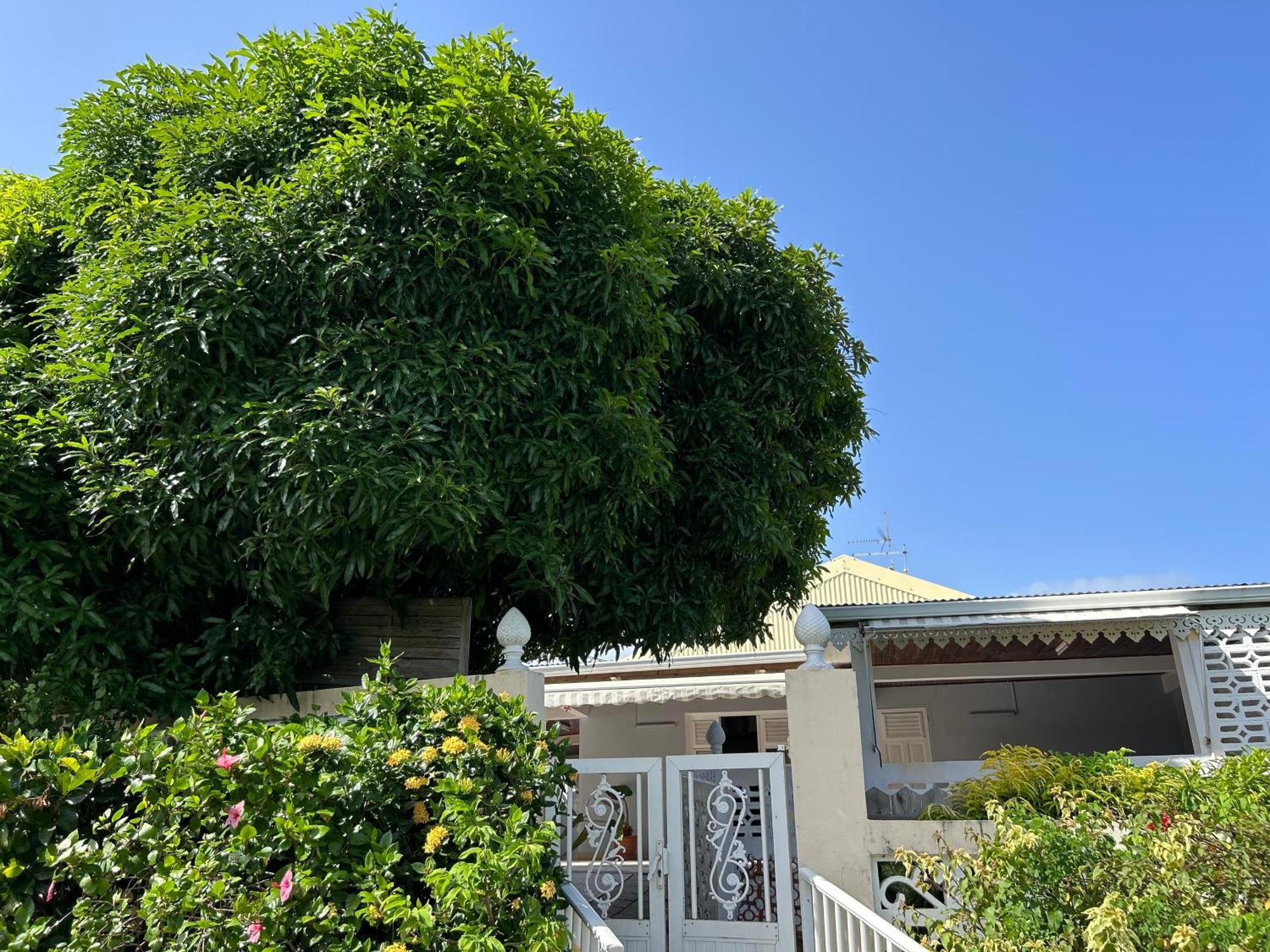 Villa A Louer A Sainte-Anne En Martinique المظهر الخارجي الصورة